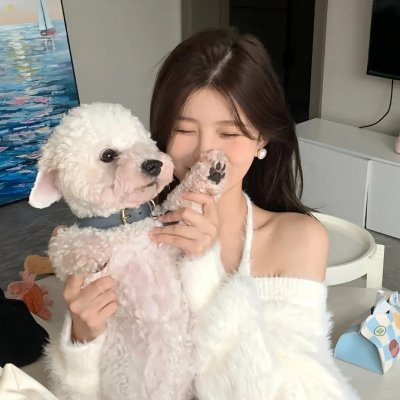 热播剧集
