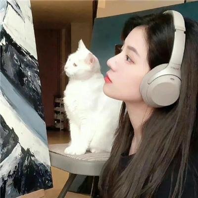 橙味爱情封面